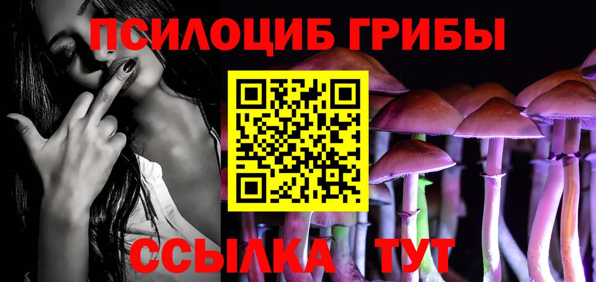Новоуральск  Псилоцибиновые грибы мухоморы  Вход с VPN 